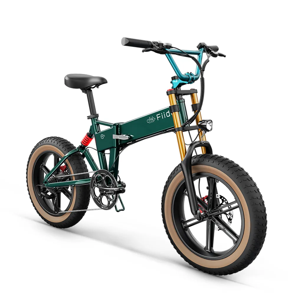 vélo éléctrique Fiido M1 Pro - Vélo électrique Vtt Fatbike Cargo De Gros Pneus